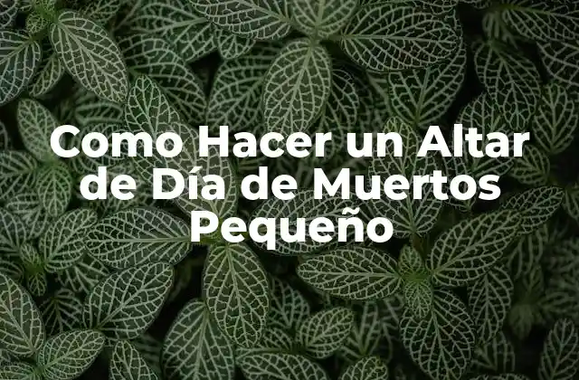 Como Hacer un Altar de Día de Muertos Pequeño
