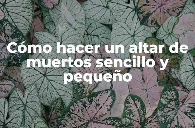 Cómo Hacer un Altar de Muertos Sencillo y Pequeño