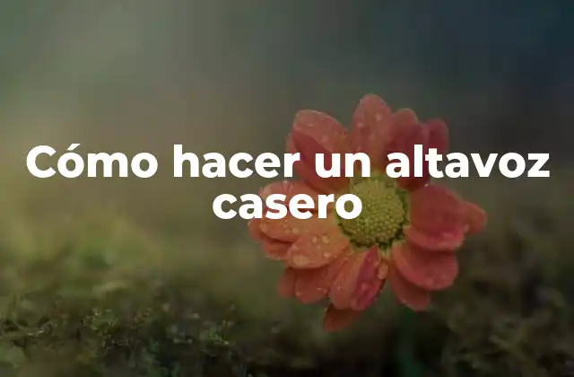 Cómo Hacer un Altavoz Casero