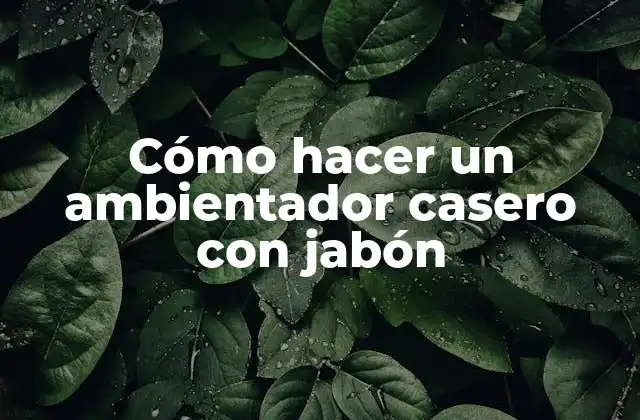 Cómo Hacer un Ambientador Casero con Jabón