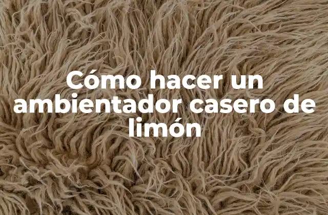 Cómo Hacer un Ambientador Casero de Limón