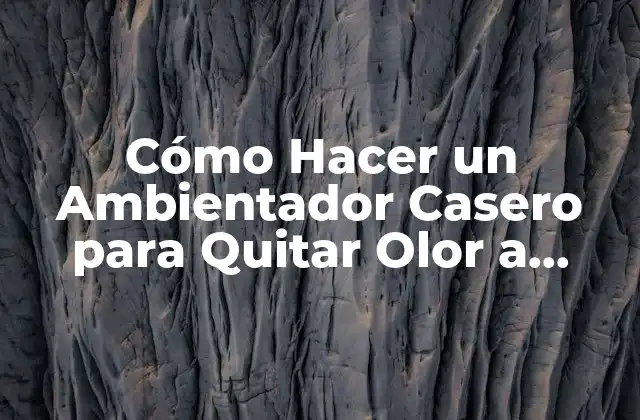 Cómo Hacer un Ambientador Casero para Quitar Olor a Perro