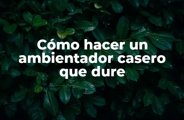 Cómo Hacer un Ambientador Casero que Dure