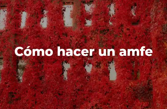 Cómo Hacer un Amfe