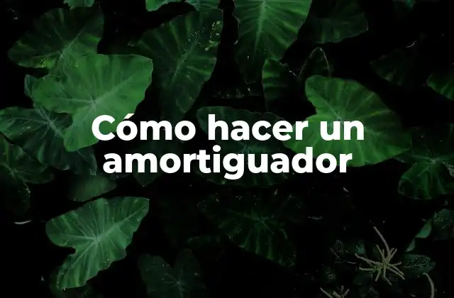 Cómo Hacer un Amortiguador