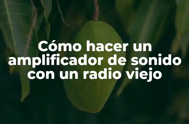 Cómo Hacer un Amplificador de Sonido con un Radio Viejo