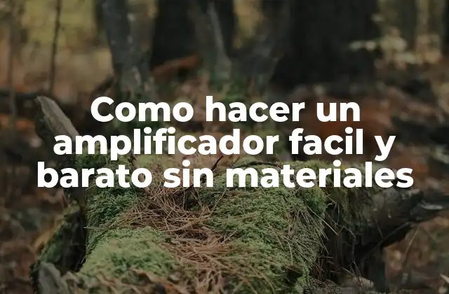 Como Hacer un Amplificador Facil y Barato sin Materiales