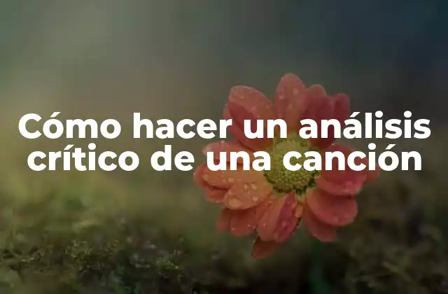 Cómo Hacer un Análisis Crítico de una Canción