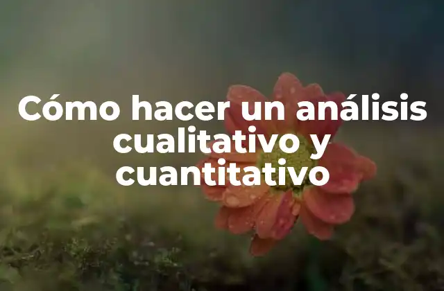 Cómo Hacer un Análisis Cualitativo y Cuantitativo