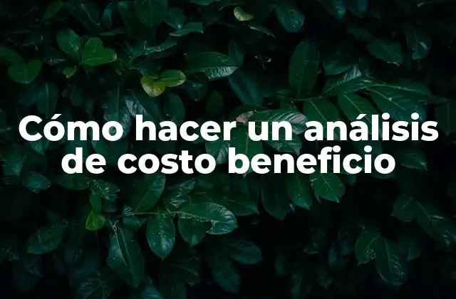 Cómo Hacer un Análisis de Costo Beneficio