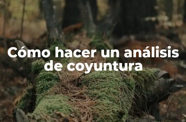 Cómo Hacer un Análisis de Coyuntura