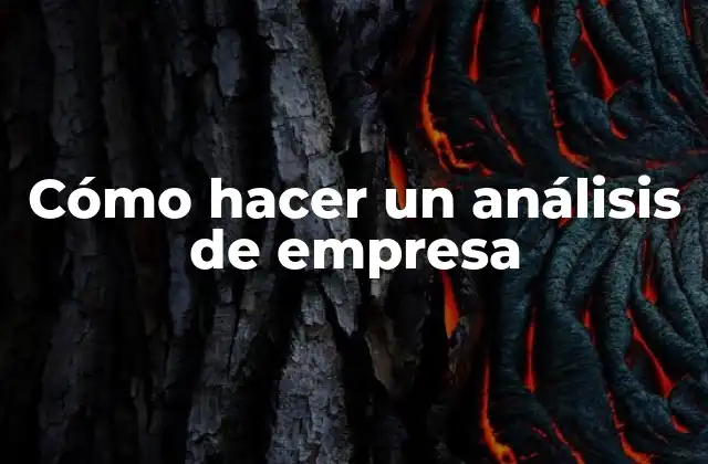 Cómo Hacer un Análisis de Empresa