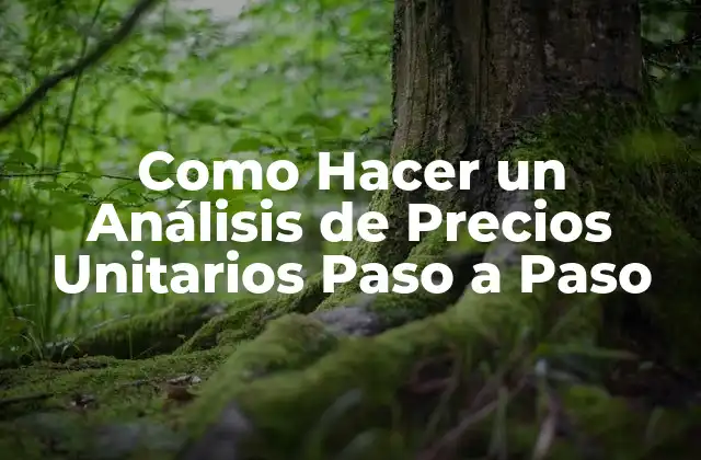 Análisis de Precios Unitarios: ¿Qué es y para qué Sirve?