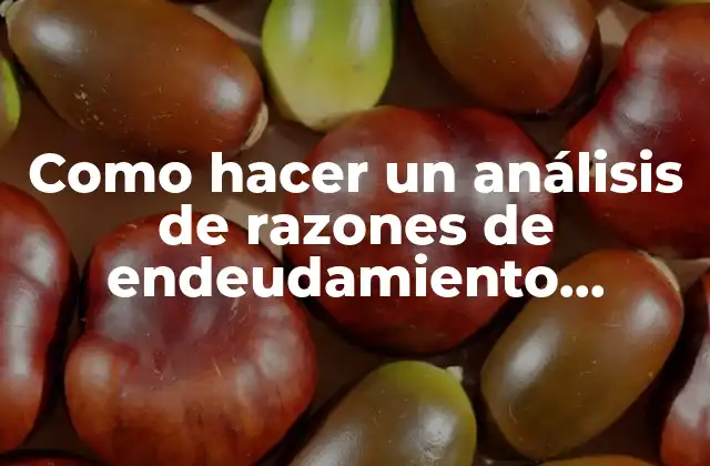 Como Hacer un Análisis de Razones de Endeudamiento Ejemplos