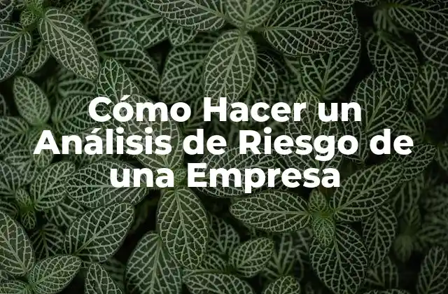 Cómo Hacer un Análisis de Riesgo de una Empresa