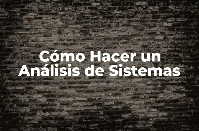 Cómo Hacer un Análisis de Sistemas