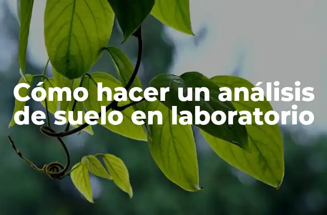Cómo Hacer un Análisis de Suelo en Laboratorio