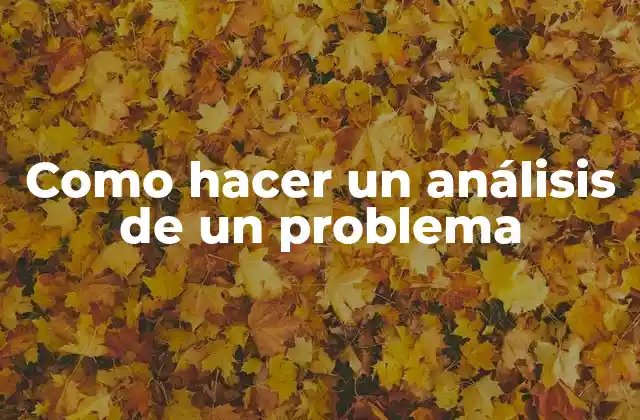 Como Hacer un Análisis de un Problema