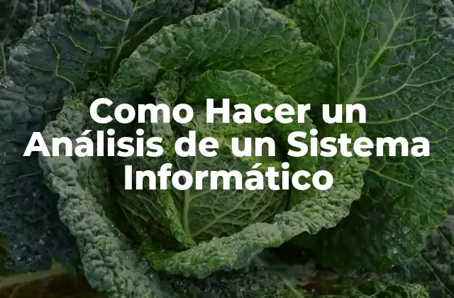 Como Hacer un Análisis de un Sistema Informático