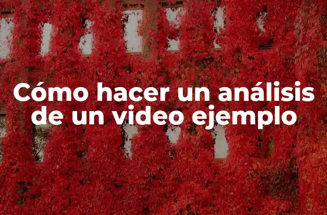 Cómo Hacer un Análisis de un Video Ejemplo 2 Análisis de un video ejemplo