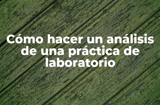 Cómo Hacer un Análisis de una Práctica de Laboratorio