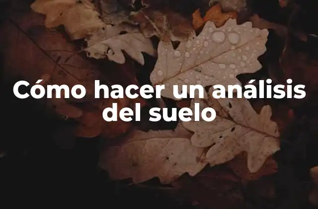 Cómo Hacer un Análisis Del Suelo