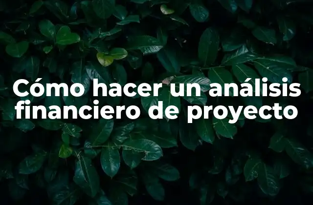Cómo Hacer un Análisis Financiero de Proyecto