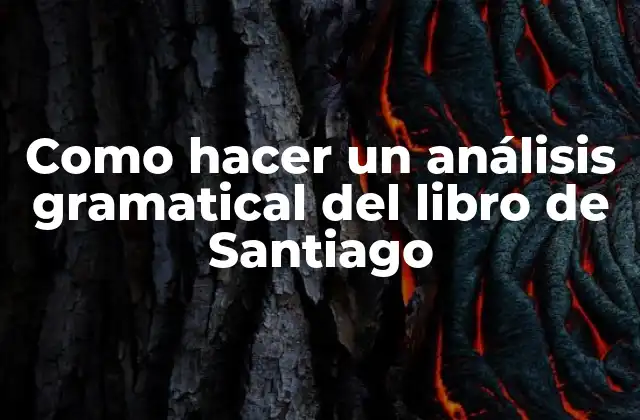 Como Hacer un Análisis Gramatical Del Libro de Santiago