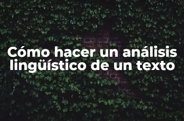 Cómo Hacer un Análisis Lingüístico de un Texto