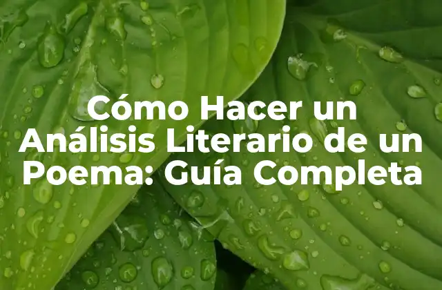 Cómo Hacer un Análisis Literario de un Poema: Guía Completa