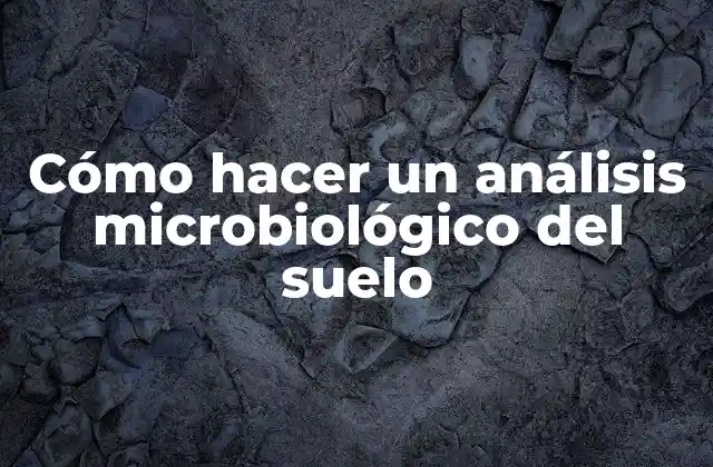 Cómo Hacer un Análisis Microbiológico Del Suelo