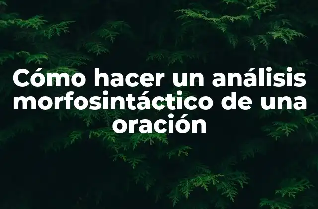 Cómo Hacer un Análisis Morfosintáctico de una Oración