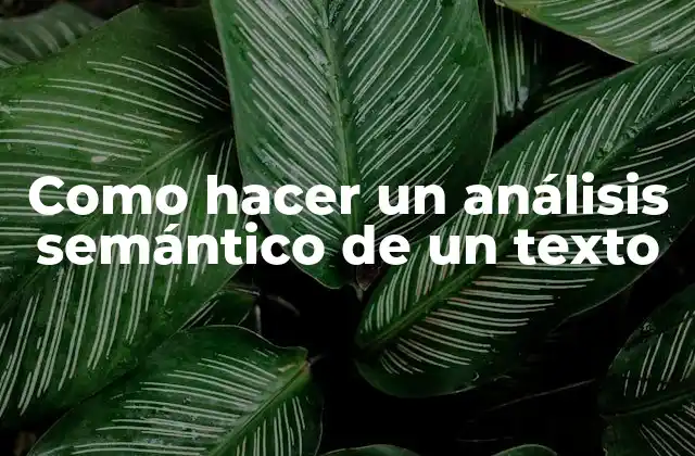 Como Hacer un Análisis Semántico de un Texto