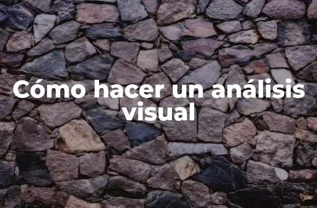 Cómo Hacer un Análisis Visual