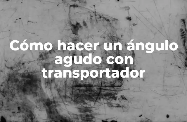 Cómo Hacer un Ángulo Agudo con Transportador