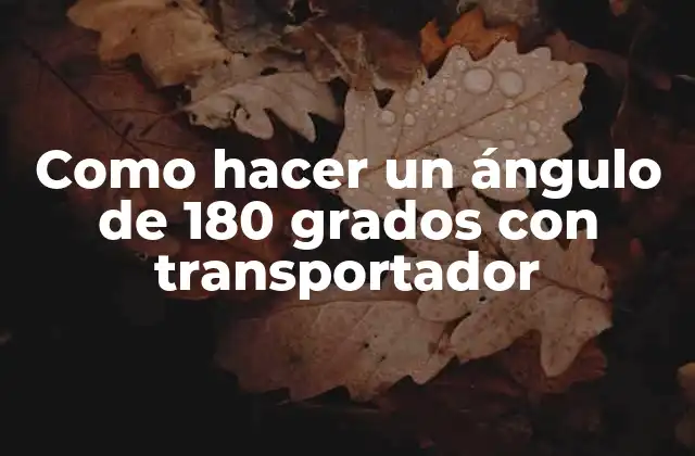 Como Hacer un Ángulo de 180 Grados con Transportador