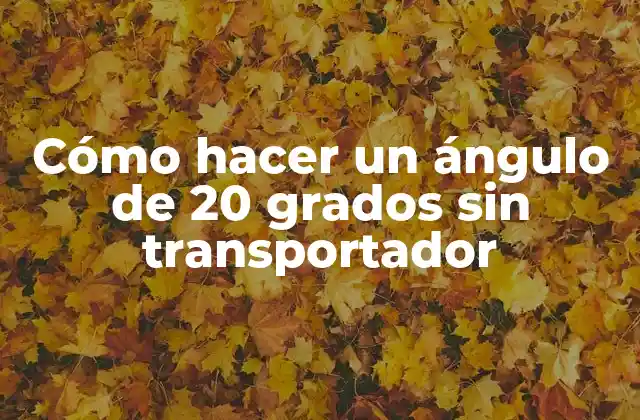 Cómo Hacer un Ángulo de 20 Grados sin Transportador