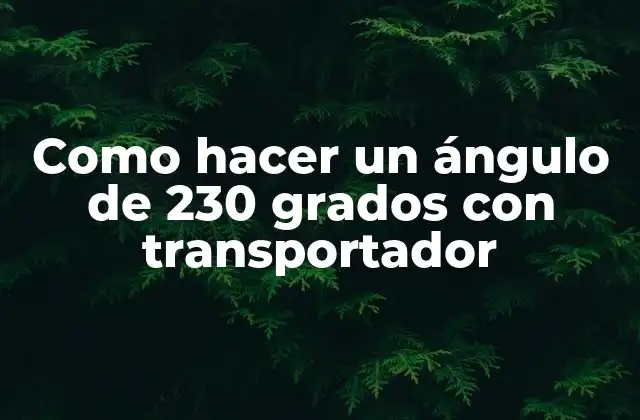 Como Hacer un Ángulo de 230 Grados con Transportador