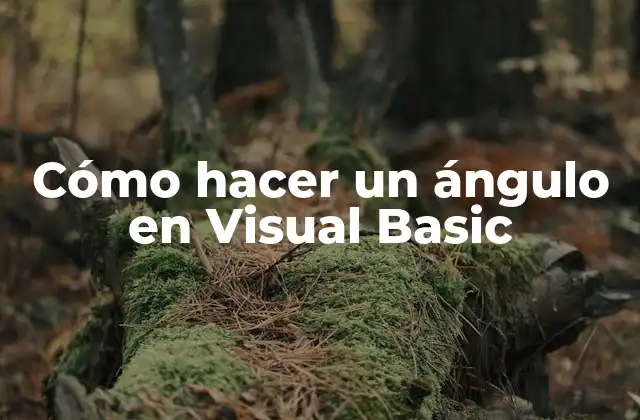 Cómo Hacer un Ángulo en Visual Basic