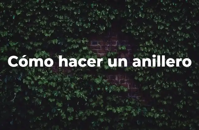 Cómo Hacer un Anillero