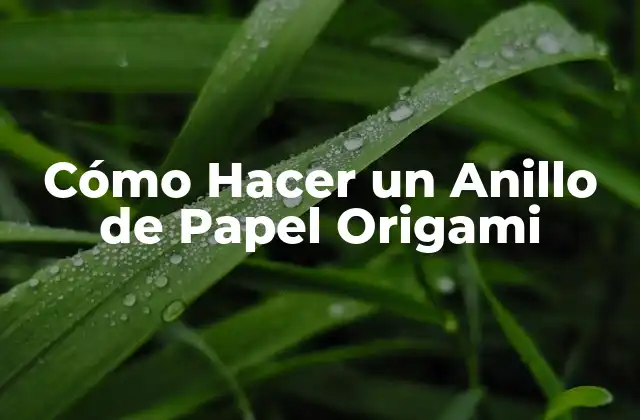 Cómo Hacer un Anillo de Papel Origami