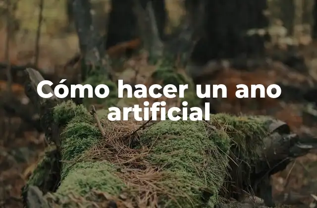 Cómo Hacer un Ano Artificial 2 ¿Qué es un ano artificial?