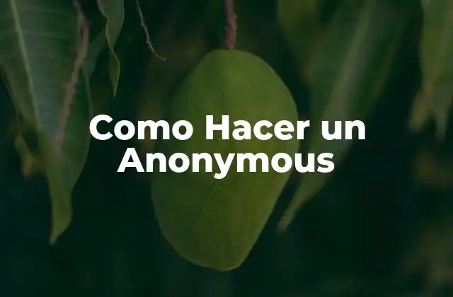 Como Hacer un Anonymous