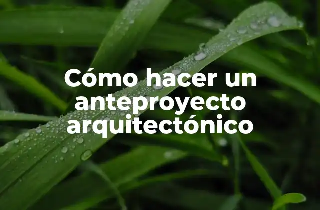 Cómo Hacer un Anteproyecto Arquitectónico