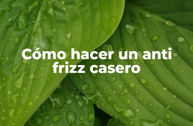 Cómo hacer un anti frizz casero