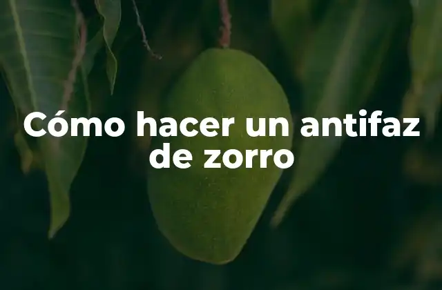 Cómo Hacer un Antifaz de Zorro