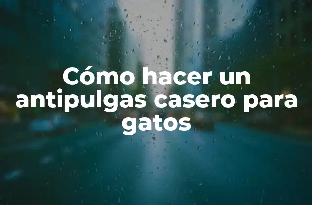 Cómo Hacer un Antipulgas Casero para Gatos