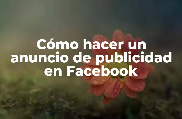 Cómo Hacer un Anuncio de Publicidad en Facebook