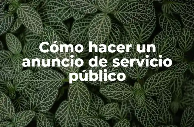 Cómo Hacer un Anuncio de Servicio Público