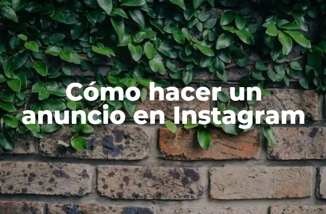 Cómo Hacer un Anuncio en Instagram 2 ¿Qué es un Anuncio en Instagram y para Qué Sirve?